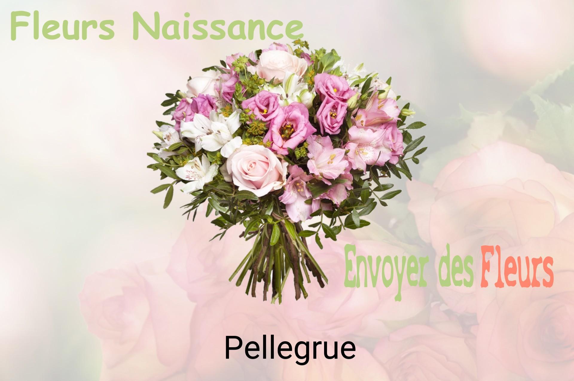 Bouquet de fleurs de naissance livré à Pellegrue